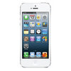 Apple iPhone 5 16Gb white - Каменск-Шахтинский