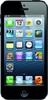 Apple iPhone 5 16GB - Каменск-Шахтинский